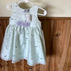 Soft Green Baby Dress